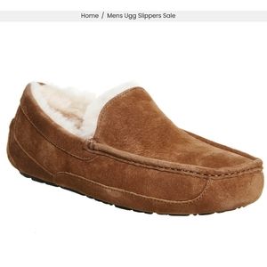 Mens Ugg Slippers Size 